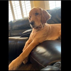 Meet your Posher, Jade